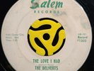 Doo Wop Northern Soul 45 - The Delverts - The Love I Had - Salem Rare HEAR