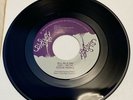 Steve Parks Movin' In The Right Direction / All In A Day 1981 SOLID SMOKE 45 7”
