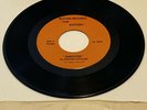 The Rotters ?- Sit On My Face Stevie Nicks - Rotten Records - TR-002 - 1978 - NM