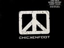 Chickenfoot LP (Vinyl, Jun-2009, Redline Records) NEW RARE SEALED