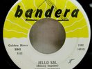 ROCKABILLY BENNY INGRAM JELLO SAL HOW CAN I KEEP YOU LOVING ME BANDERA 1302