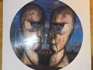 Pink Floyd - The Division Bell - Vinyl LP 1994- Picture Disc