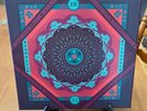 GRATEFUL DEAD Cornell 5.8.77 on Rhino 5-LP Box Set