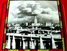 Red Hot Chili Peppers Under The Bridge 12