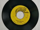 THE SLICKER - JOHNNY TOO BAD // VERSION [ PANTHER ]    [ JUL364 ]