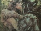 John Mayall Blues From Laurel Canyon vinyl LP album record Dutch SKL4972 DECCA