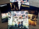 Blossoms - Foolish Loving Spaces SIGNED/AUTOGRAPHED Vinyl/Record LP-FREE PRINTS