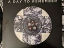 A Day To Remember - What Separates Me From You Vinyl Picture Disk