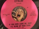 Crystal Palace Arizona UNKNOWN PRIVATE GARAGE PSYCH 196?