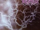 KATATONIA-For Funerals To Come (US IMPORT) VINYL LP NEW
