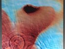 Pink Floyd | Meddle | 180g Vinyl | Pompeii | Dark Side | Animals | Wall | Wish