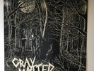 Gray Matter Food For Thought 1985/1990 First Dischord Records Vinyl Pressing
