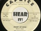Doo Wop 45 THE WILDWOODS Heart Of Mine / When The CAPRICE dj Five Satins hear