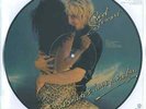 ROD STEWART Blondes Have More Fun Vinyl Record LP Warner Bros. 1978 Picture Disc