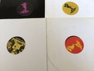 jungle records