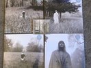 Taylor Swift Folklore COLORED Album Set (4 Vinyl 2LP Sets) + Signed CD RARE
