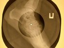 Rolling Stones - Paint It Black X-RAY OF THE USSR X-RAY BONES RECORDING
