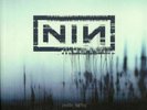 With Teeth by Nine Inch Nails (Vinyl, Jan-2020, 2 Discs, Nothing Records)