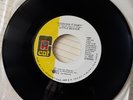 45 rpm little beaver i can dig it baby cat 1997 1975