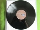 TWERK - Disertation Abstract - Vinyl 12