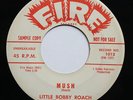 Little Bobby Roach & His Combo Fire DJ 45rpm 1960