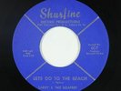 Garage 45 - Larry & The Loafers - Lets Go To The Beach - Shurfine - VG+ mp3
