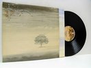 GENESIS wind and wuthering (1st uk press) LP EX+/EX, CDS 4005, vinyl, album,