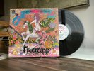 Fruupp Future Legends HYPER RARE Prog Rock Original UK Textured Gatefold NM-