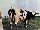 original master recording vinyl lp Atom Heart Mother Pink Floyd