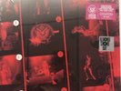 RAMONES Triple J Live At The Wireless RSD2021 12