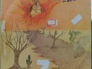 EDUARDO ARAUJO & SILVINHA 1976 “OPANIGE” FUNK  SOUL BREAKS ORIG. LP BRAZIL HEAR