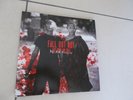 Fall Out Boy SAVE ROCK AND ROLL Pax Am edition vinyl 2xLP used