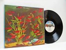 DAVID VORHAUS white noise 2 - concerto for synthesiser (1st uk press) LP EX/EX-,