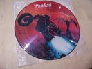 MEATLOAF Vinyl LP BAT OUT OF HELL Rare PICTURE DISC 1977 Version PBL 34974