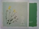 VIRGINIA ASTLEY FROM GARDENS WHERE WE FEEL SECURE ROUGH TRADE ROUGH 58 INNER