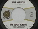 Garage Psych Bay Area THE VENUS FLYTRAP Have You Ever / Note EX JAGUAR 45 HEAR