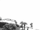 Timber Timbre-Hot Dreams VINYL NEW
