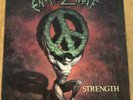 ENUFF Z'NUFF - STRENGTH - RARE ROCK LP - ATCO 7567-91638-1 (1991) - VG+/VG+