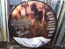Rare Cannibal Corpse Tomb Of The Mutilated 25th Anniversary Color Picture Vinyl