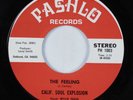 Funk 45 CALIF. SOUL EXPLOSION The Feeling PASHLO NM HEAR