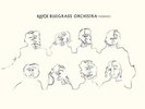 Hayde Bluegrass Orchestra Migrants  (Vinyl)