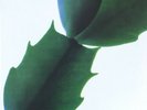 Hiroshi Yoshimura ?– Green (New LP) Midori Takada Gaussian Curve