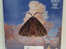 Chairlift - Moth Vinyl LP NEW Sealed FREE USA Shipping OOP
