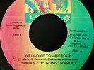 Damian Marley - Welcome To Jamrock (7