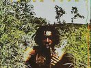 Peter Tosh - Legalize It (LP, Album)