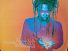 Soul II Soul ?– Volume IV - The Classic Singles 88-93 12