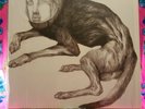 Thee Oh Sees Putrifiers II Black Vinyl LP First Pressing In The Red Recordings