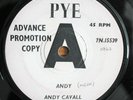 ANDY CAVELL Andy / There Was A Boy PROMO UK 7