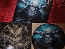 TESTAMENT - DARK ROOTS OF EARTH - 2 LP PICTURE VINYL  NEUWERTIG UNGESPIELT RAR