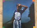 Gilberto Gil – Nightingale - Elektra – K52120 Vinyl, LP, Very Rare UK Edition